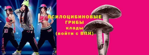 spice Алексин