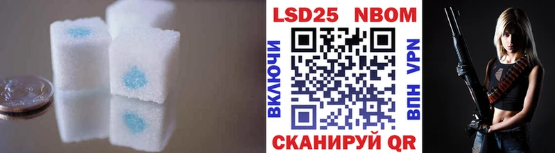 kraken зеркало  наркошоп  Себеж  Лсд 25 экстази кислота 