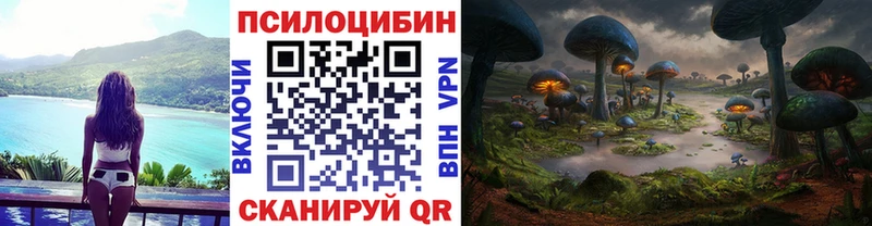 как найти закладки  Себеж  Псилоцибиновые грибы Cubensis 